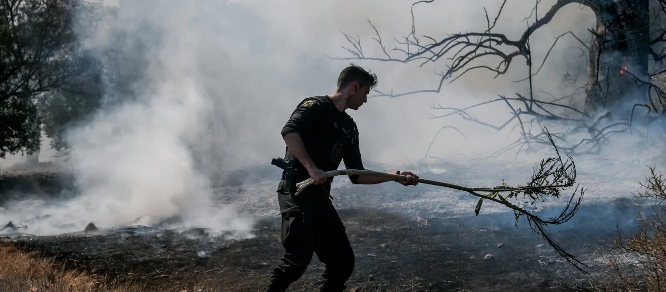 Κόλαση φωτιάς στα Βίλια - «112»: «Εκκενώστε τώρα αυτούς τους 5 οικισμούς» - Καίγεται δάσος στο Όρος Πατέρας